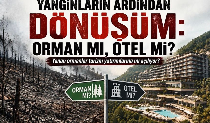Yangınların Ardından Dönüşüm: Orman mı, Otel mi?