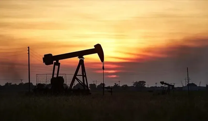 Bismil’de petrol için sondaj başladı: Gabar’ı 2-3’e katlayacak potansiyel