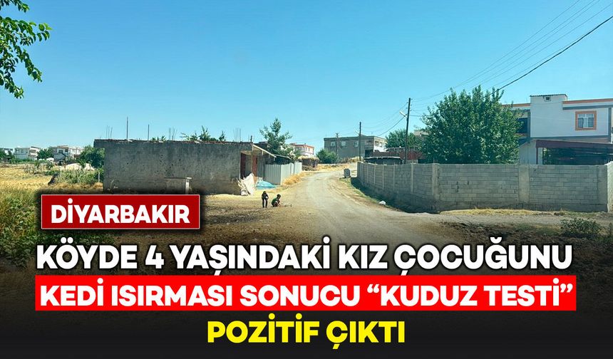 Köyde kedinin ısırdığı 4 yaşındaki kız çocuğunda "Kuduz" testi pozitif çıktı