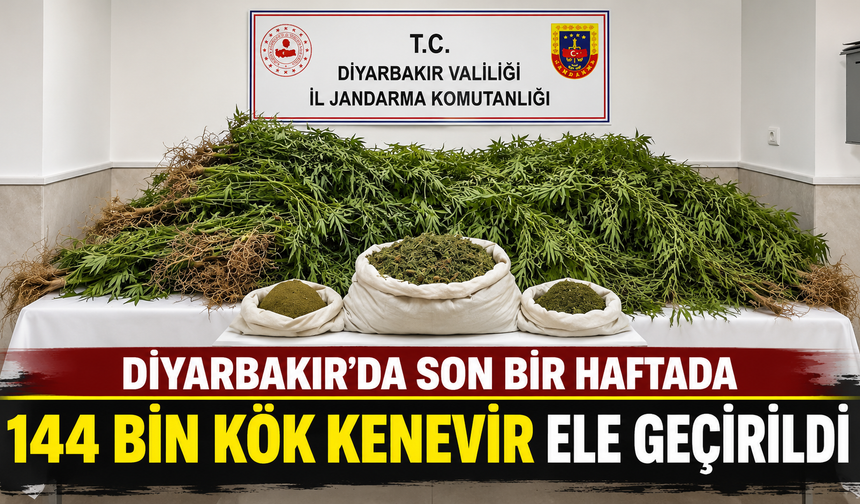Diyarbakır’da son bir haftada 144 bin kök kenevir ele geçirildi