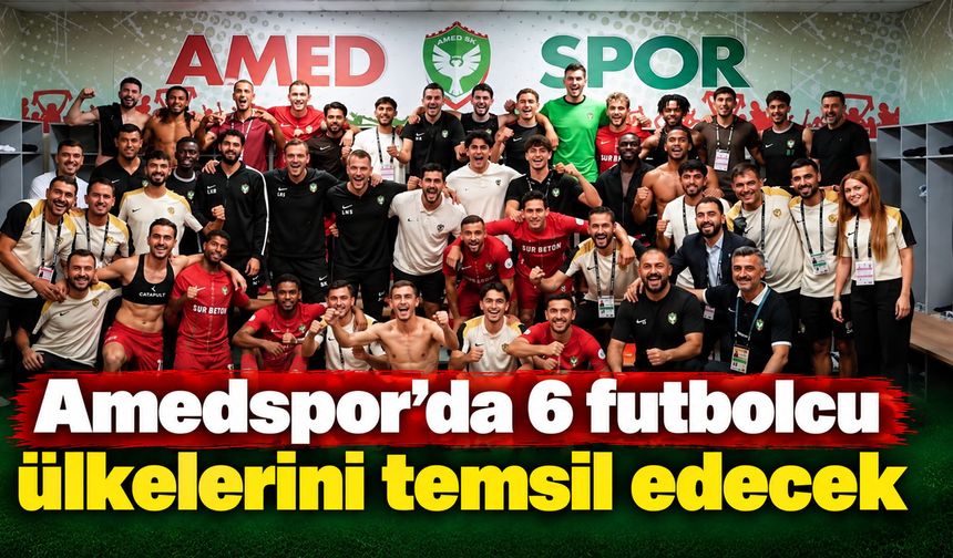 Amedspor’da 6 futbolcu ülkelerini temsil edecek