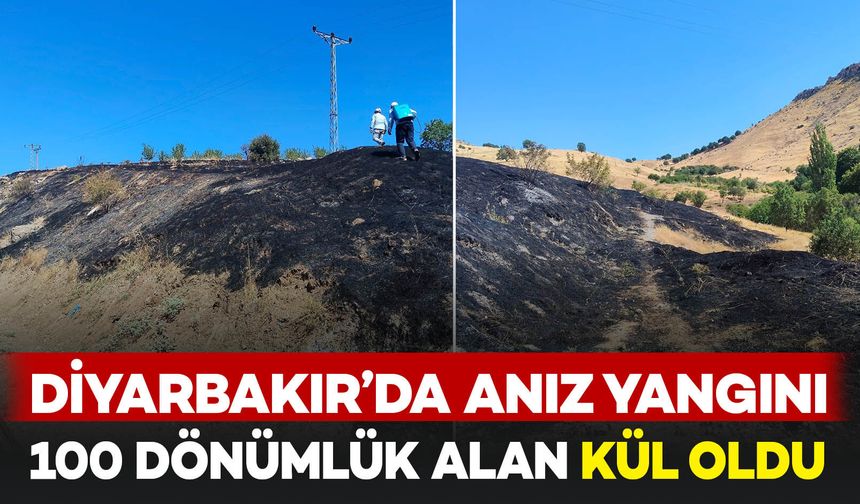 Diyarbakır’da anız yangını: 100 dönümlük alan kül oldu
