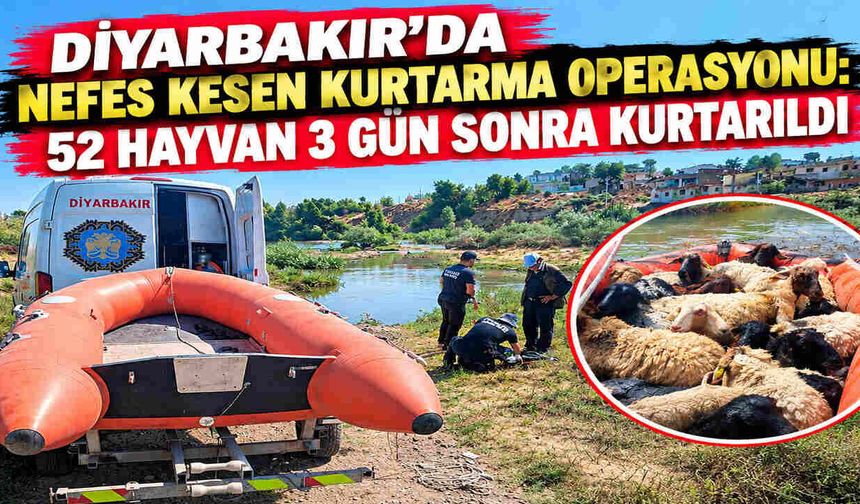 Diyarbakır'da Nefes Kesen Kurtarma Operasyonu: 52 Hayvan 3 Gün Sonra Kurtarıldı