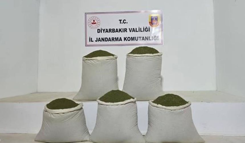 Diyarbakır’da uyuşturucu operasyonları: 14 bin kök kenevir ele geçirildi