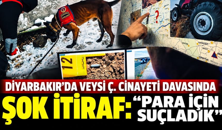 Diyarbakır'da Veysi Ç. Cinayeti Davasında Şok İtiraf: "Para İçin Suçladık"