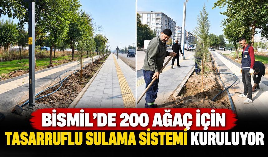 Bismil’de 200 Ağaç İçin Tasarruflu Sulama Sistemi Kuruluyor