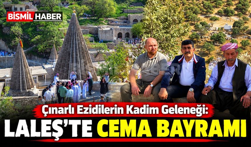 Çınarlı Ezidilerin Kadim Geleneği: Laleş'te Cema Bayramı