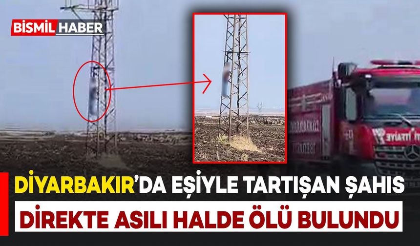 Diyarbakır'da eşiyle tartışan şahıs direkte asılı halde ölü bulundu