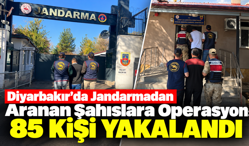 Diyarbakır'da Jandarmadan Aranan Şahıslara Operasyon: 85 Kişi Yakalandı