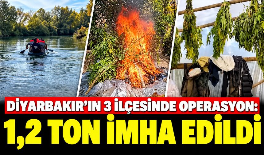 Diyarbakır'ın 3 İlçesinde Operasyon: 1,2 Ton İmha Edildi