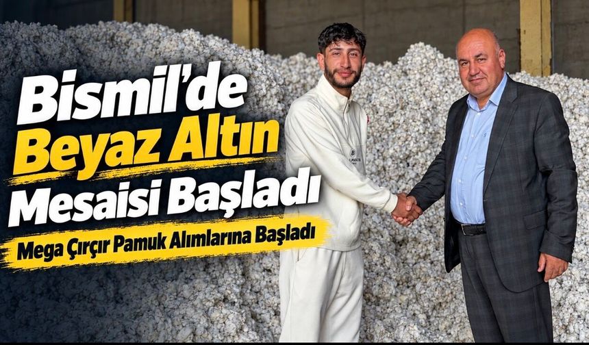 Bismil’de Pamuk Hasadı 20 Gün Gecikmeli Başladı