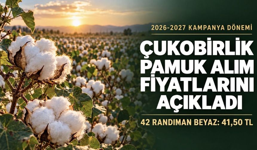 ÇUKOBİRLİK 2026-2027 Pamuk Alım Fiyatlarını Açıkladı