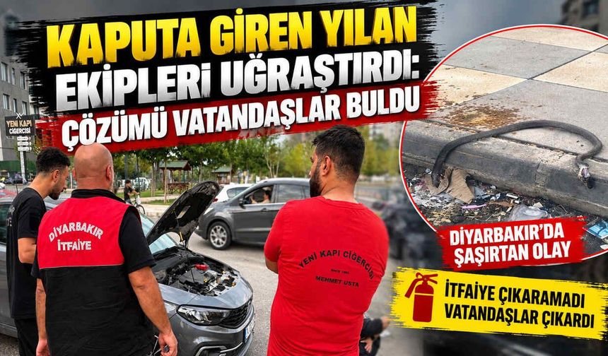 Kaputa Giren Yılan Ekipleri Uğraştırdı: Çözümü Vatandaşlar Buldu