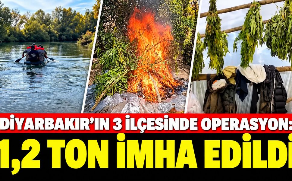 Diyarbakır'ın 3 İlçesinde Operasyon: 1,2 Ton İmha Edildi
