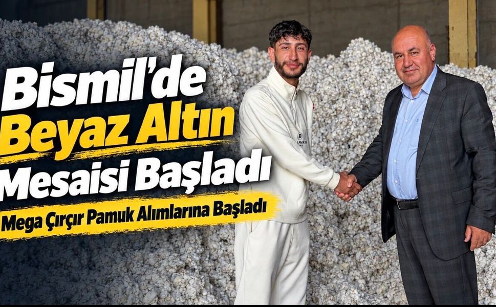 Bismil’de Pamuk Hasadı 20 Gün Gecikmeli Başladı
