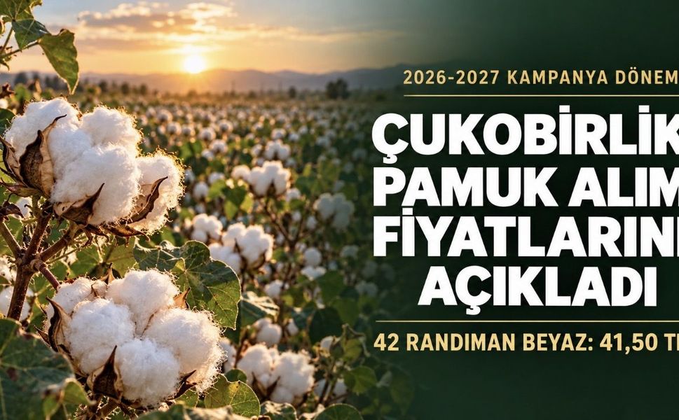 ÇUKOBİRLİK 2026-2027 Pamuk Alım Fiyatlarını Açıkladı