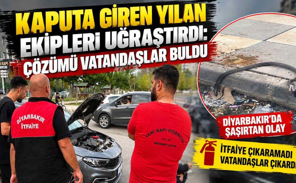 Kaputa Giren Yılan Ekipleri Uğraştırdı: Çözümü Vatandaşlar Buldu