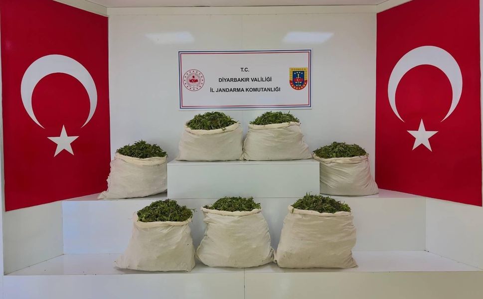 Diyarbakır’da Uyuşturucu Operasyonu: 59 Bin Kök Kenevir Ele Geçirildi